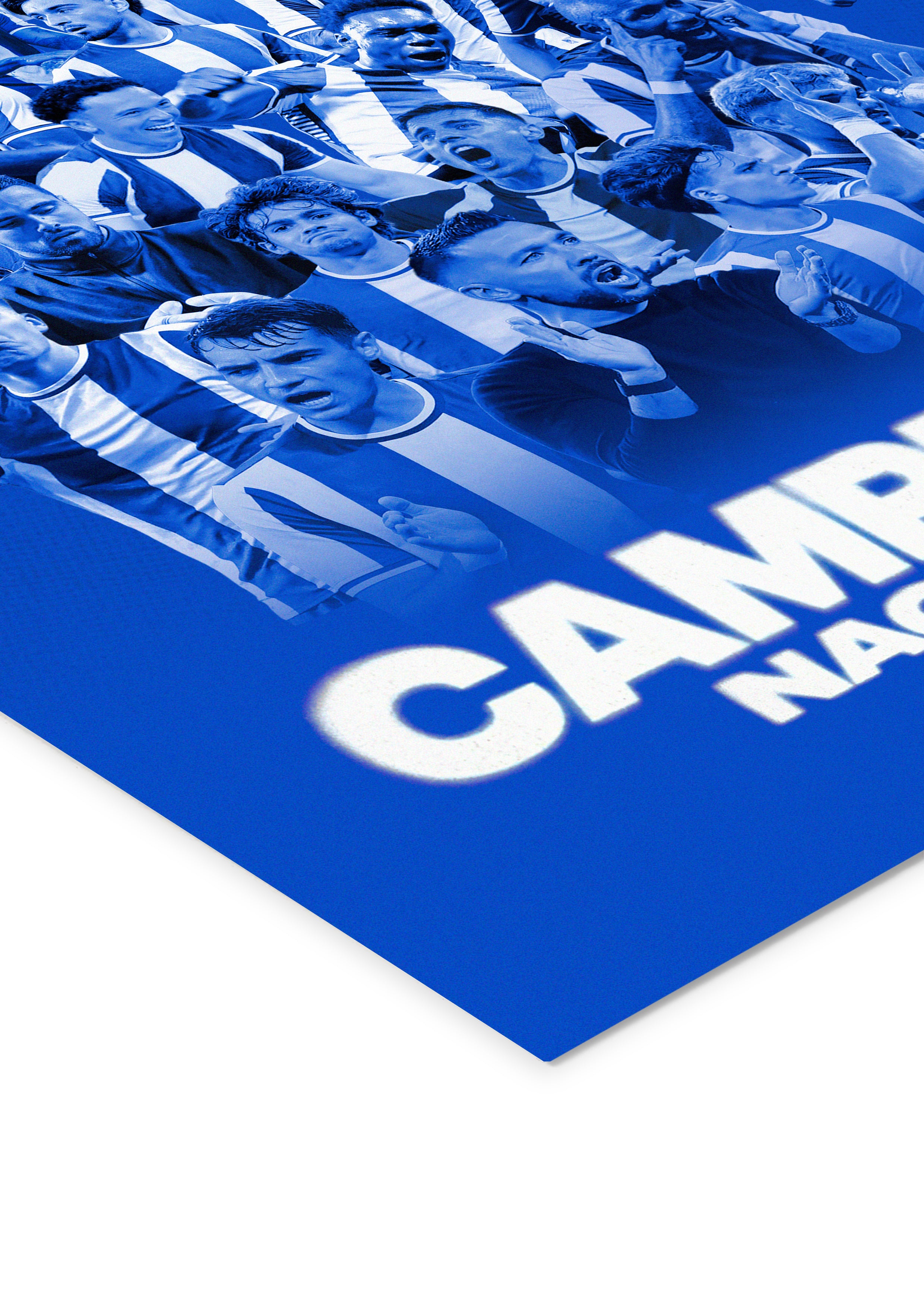 FC Porto "CAMPEÕES NACIONAIS 25/26"