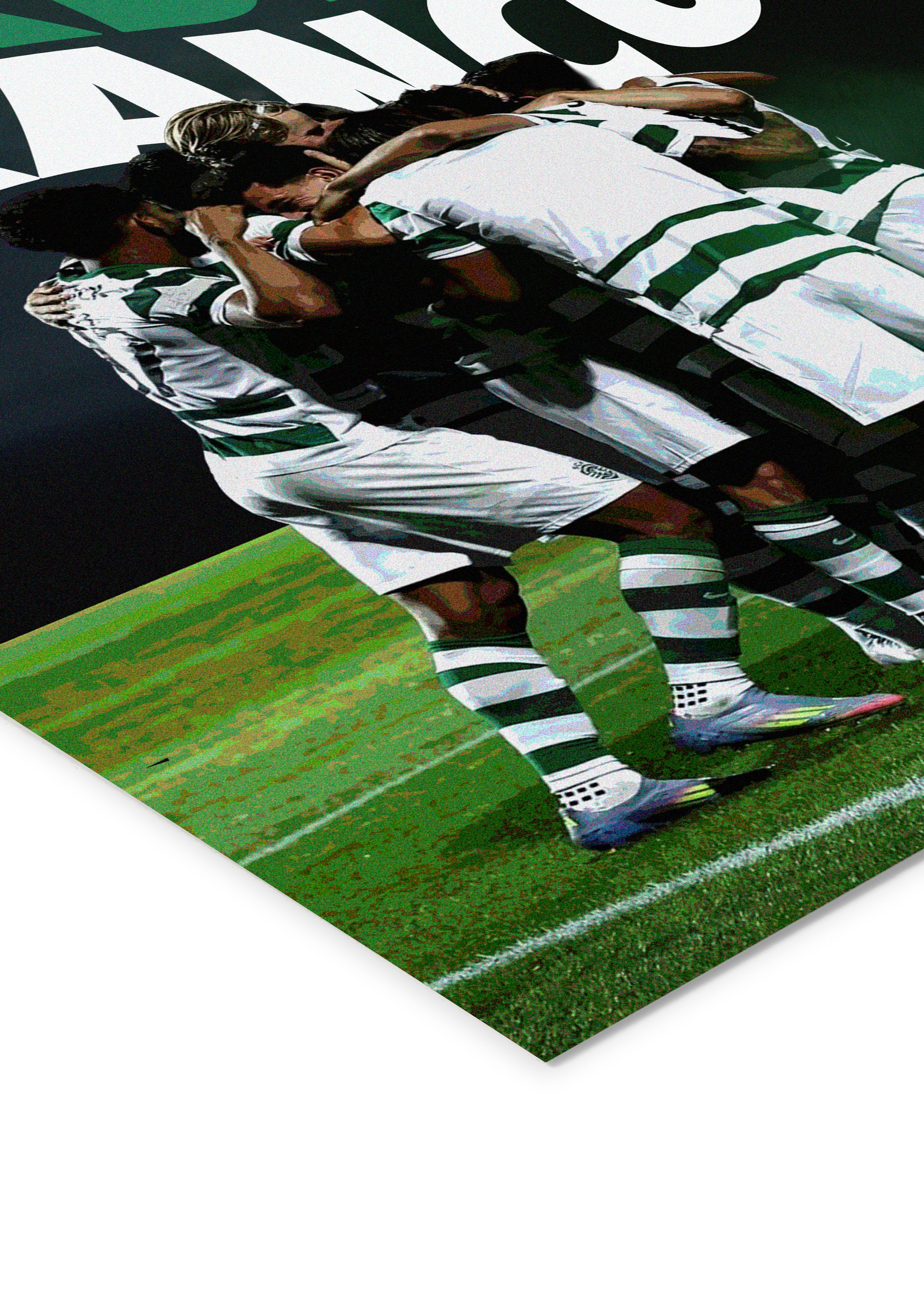 "Meu Amor é Verde e Branco" - Sporting CP